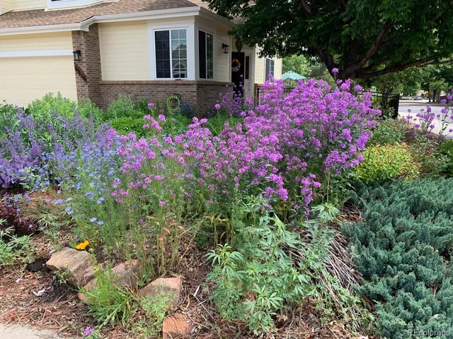 $750,000 | 6810 Simms Court, Arvada, CO 80004