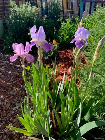 $750,000 | 6810 Simms Court, Arvada, CO 80004