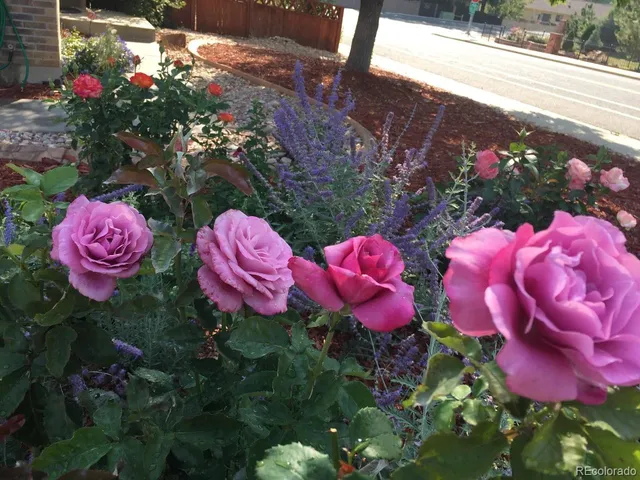 $750,000 | 6810 Simms Court, Arvada, CO 80004