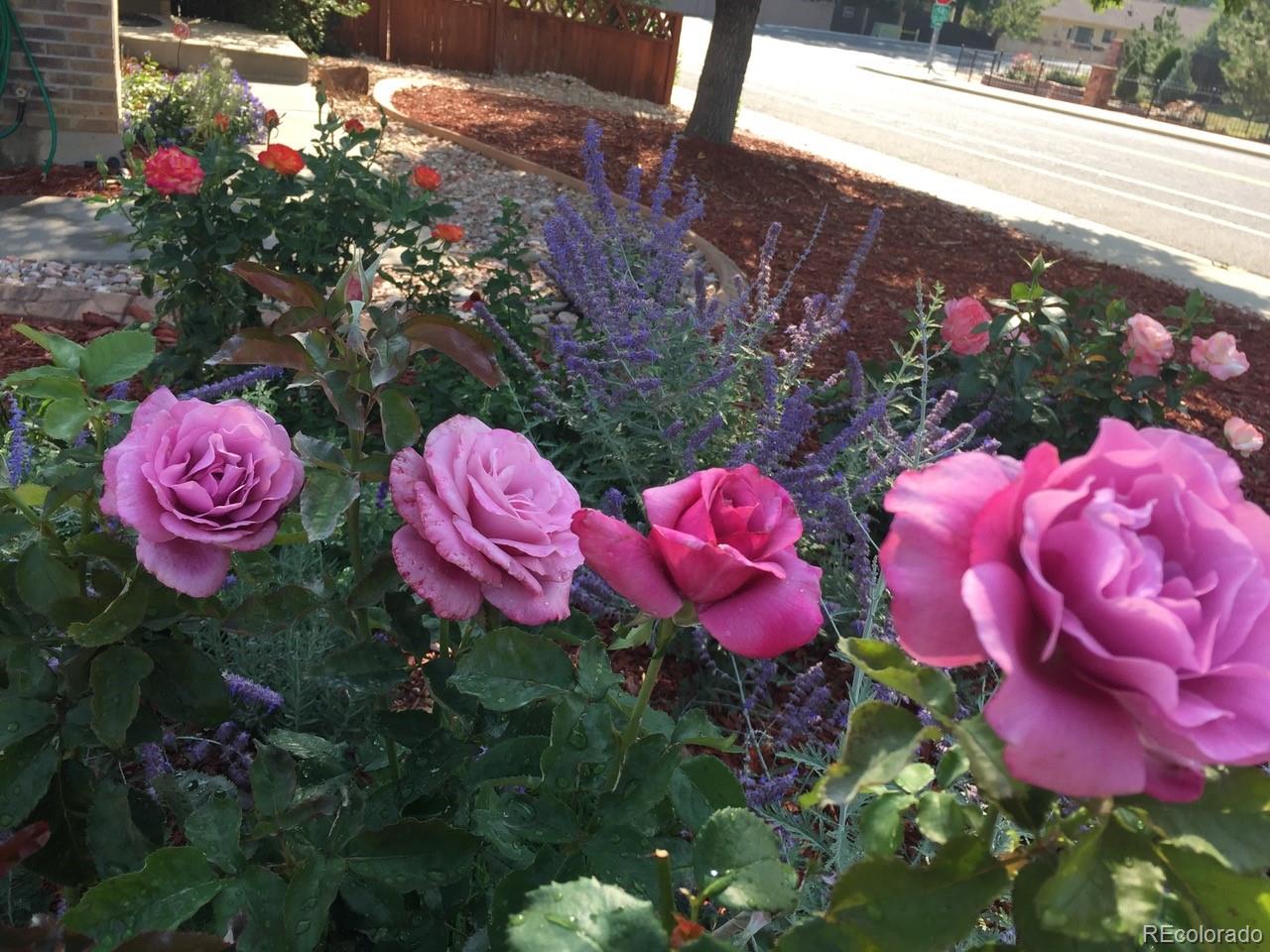 6810 Simms Court Arvada, CO 80004 - Photo 44 of 50