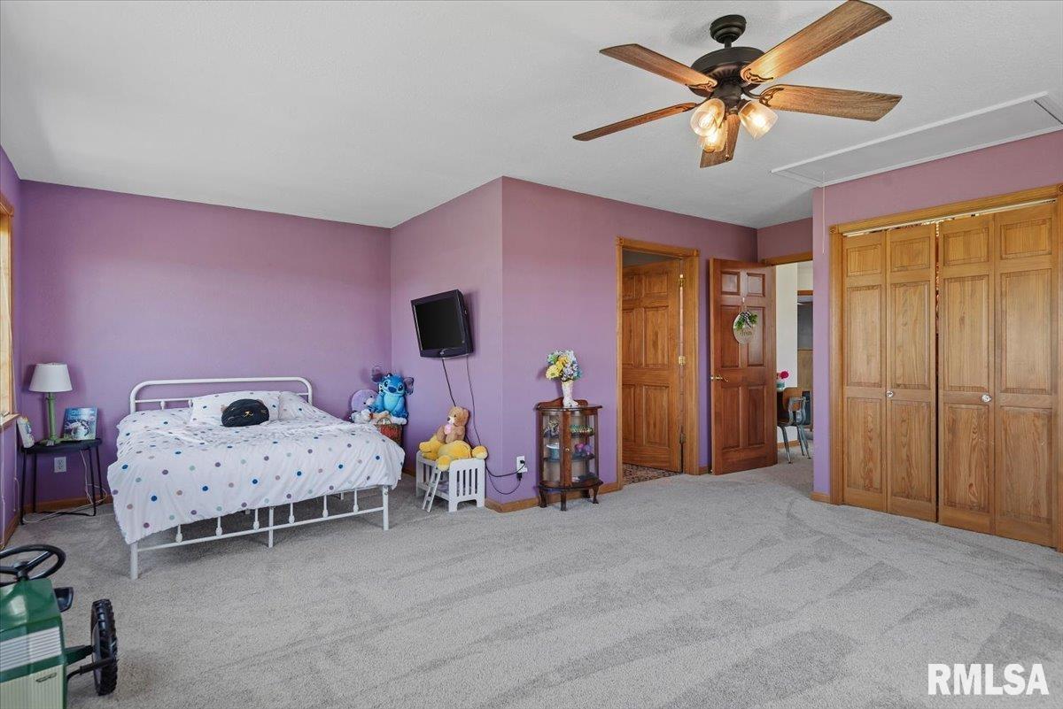 20205 North 20th Avenue Nokomis, IL 62075 - Photo 21 of 88