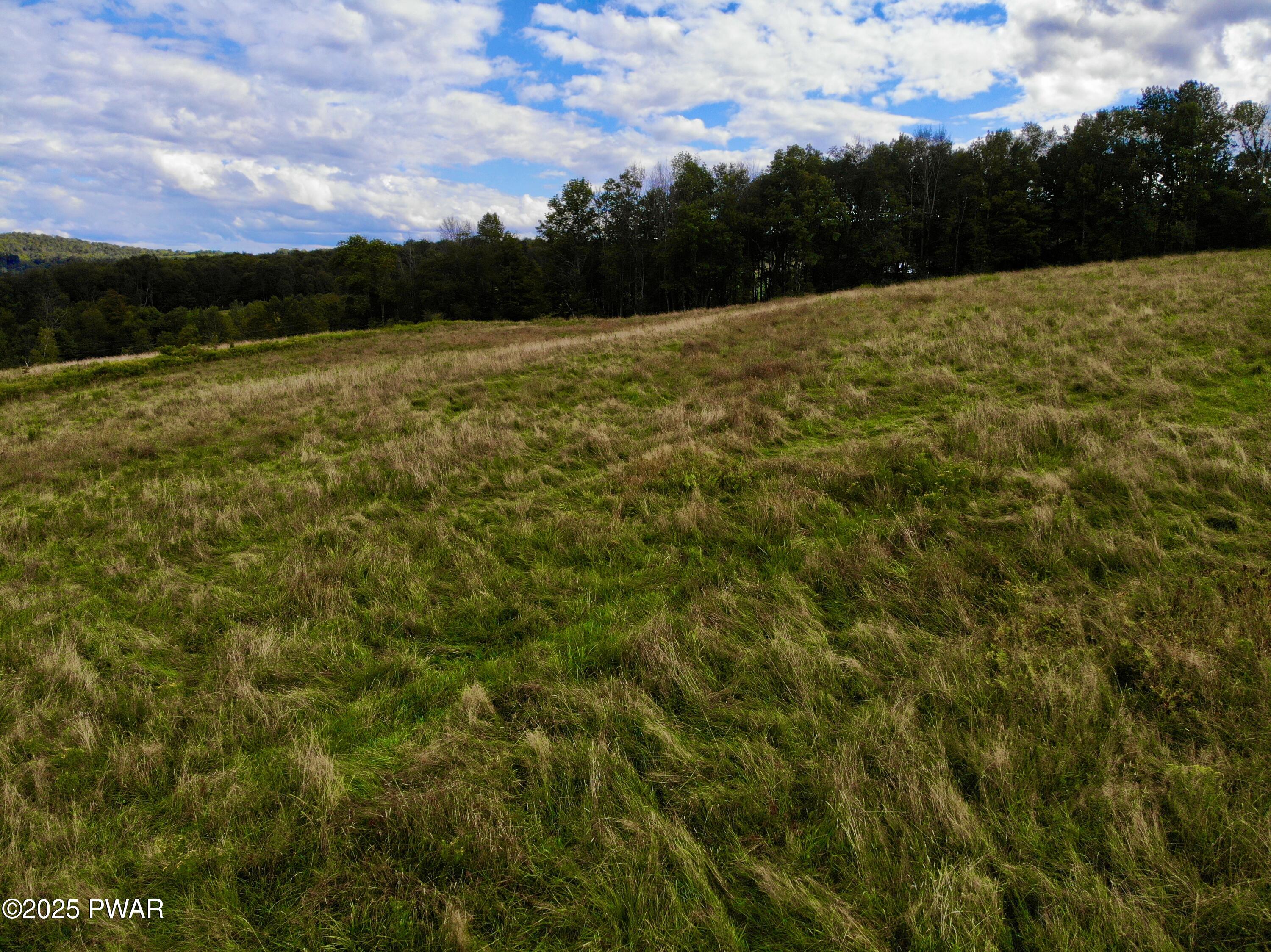 Fork Mountain Road Equinunk, PA 18417 - Photo 10 of 10