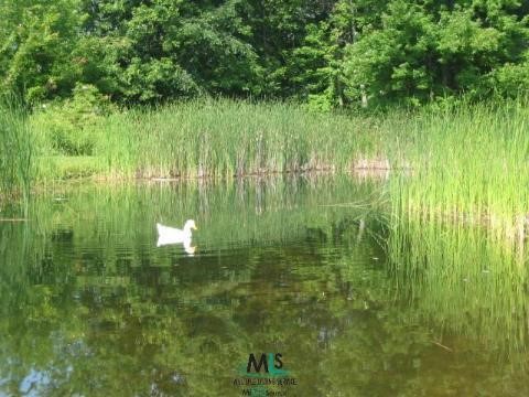 5839 Connell Road Emmett, MI 48022 - Photo 3 of 4 653727-2.JPG