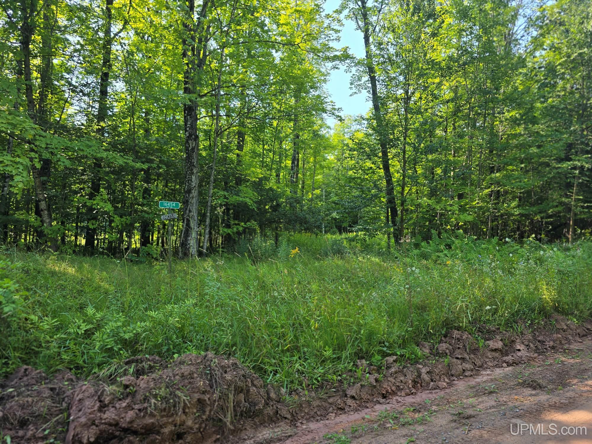 16454 Blue Road Pelkie, MI 49958 - Photo 13 of 50