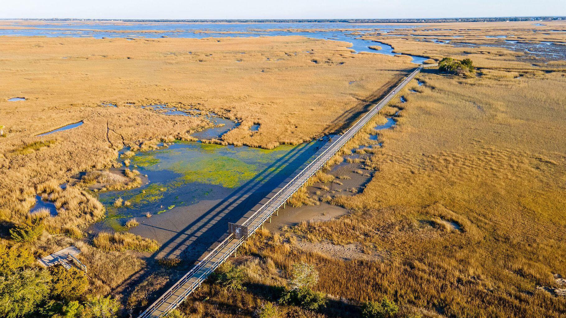 1621 Prince Edward Street Mount Pleasant, SC 29466 - Photo 63 of 64 prince edward am10