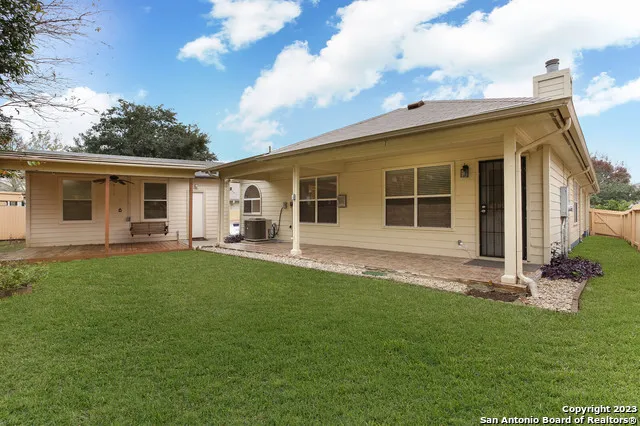 a view of a backyard with plants and large tree