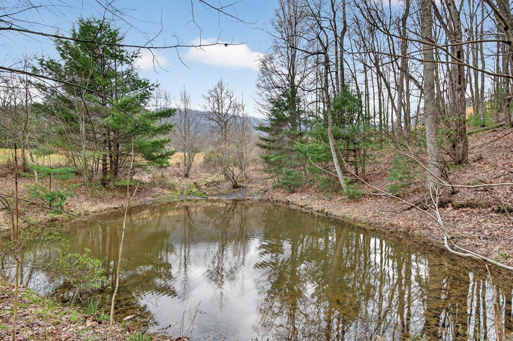 329 Mill Creek Road Chilhowie, VA 24319 - Photo 39 of 58 Gallery Image 39