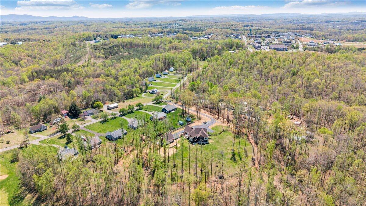 483 Morewood Road Hardy, VA 24101 - Photo 109 of 114 127-DJI_20260407140434_0010_D