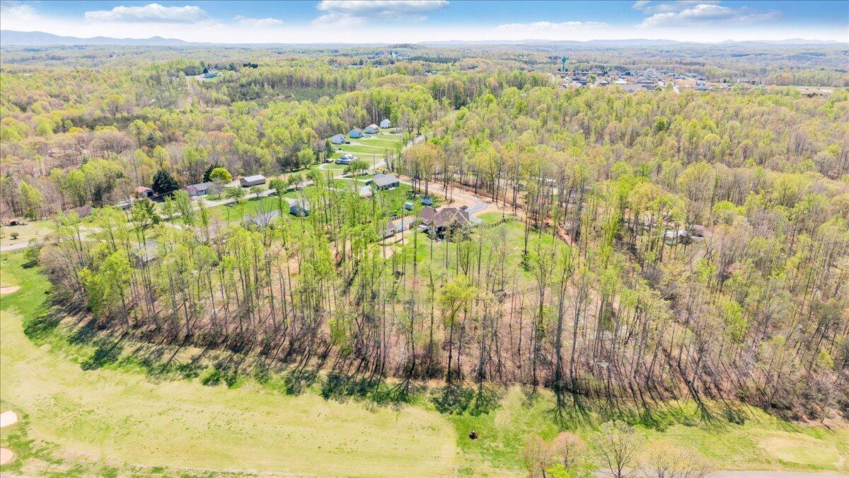 483 Morewood Road Hardy, VA 24101 - Photo 113 of 114 131-DJI_20260407141350_0027_D