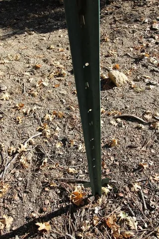 view of a house with a yard