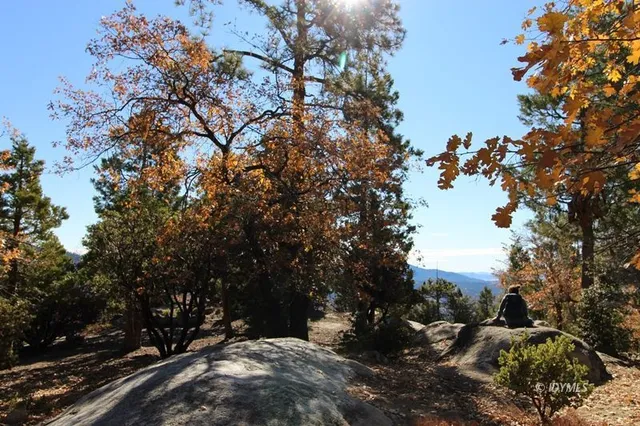 $285,000 | Gibbs-gully Gibbs-Gully, Idyllwild, CA 92549