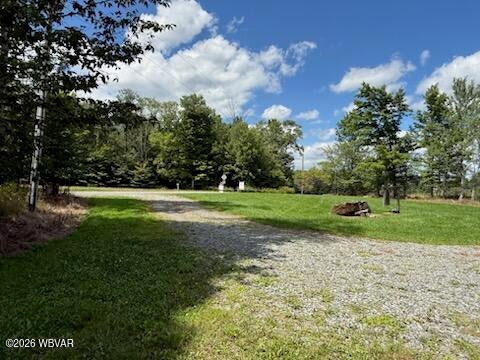 1582 Millview Mountain Road Forksville, PA 18616 - Photo 17 of 22 Gallery Image 17