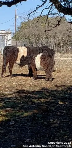 $1,345,000 | 514 Centerfork Road, Doss, TX 78618