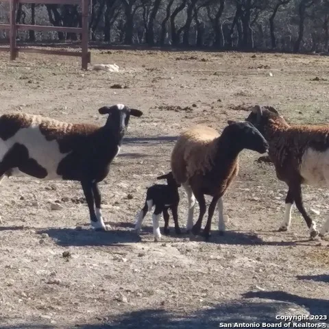 $1,345,000 | 514 Centerfork Road, Doss, TX 78618