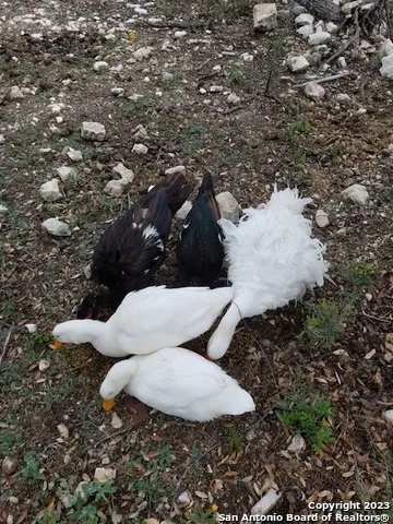 $1,345,000 | 514 Centerfork Road, Doss, TX 78618