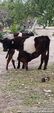 $1,345,000 | 514 Centerfork Road, Doss, TX 78618