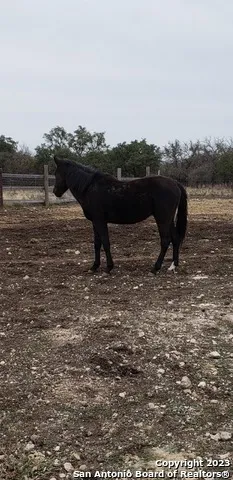 $1,345,000 | 514 Centerfork Road, Doss, TX 78618