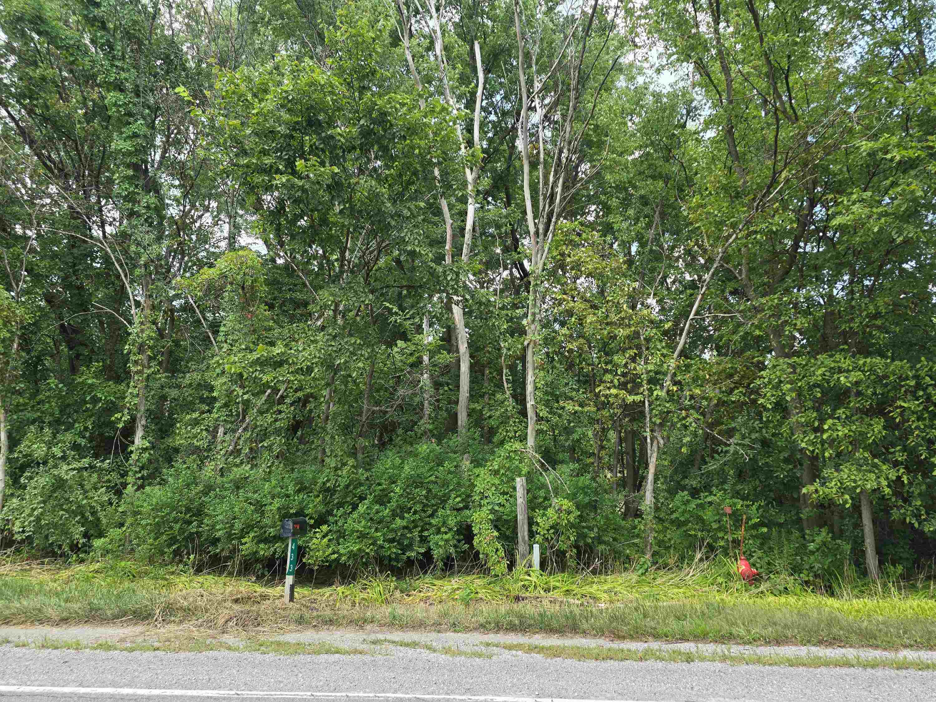West Munger Road Munger, MI 48747 - Photo 6 of 8