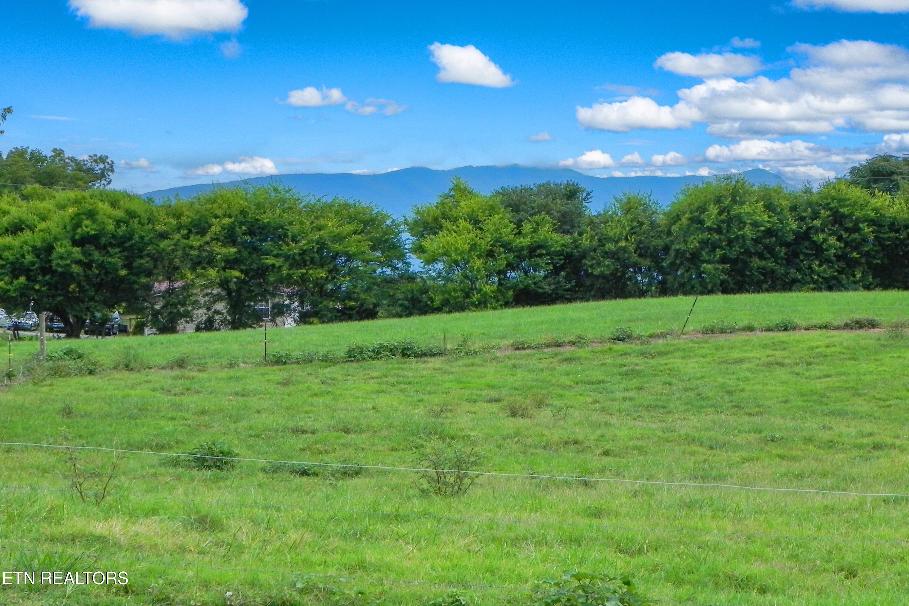 2008 Bessie Slaton Road Dandridge, TN 37725 - Photo 2 of 51 MOUNTAIN VIEWS