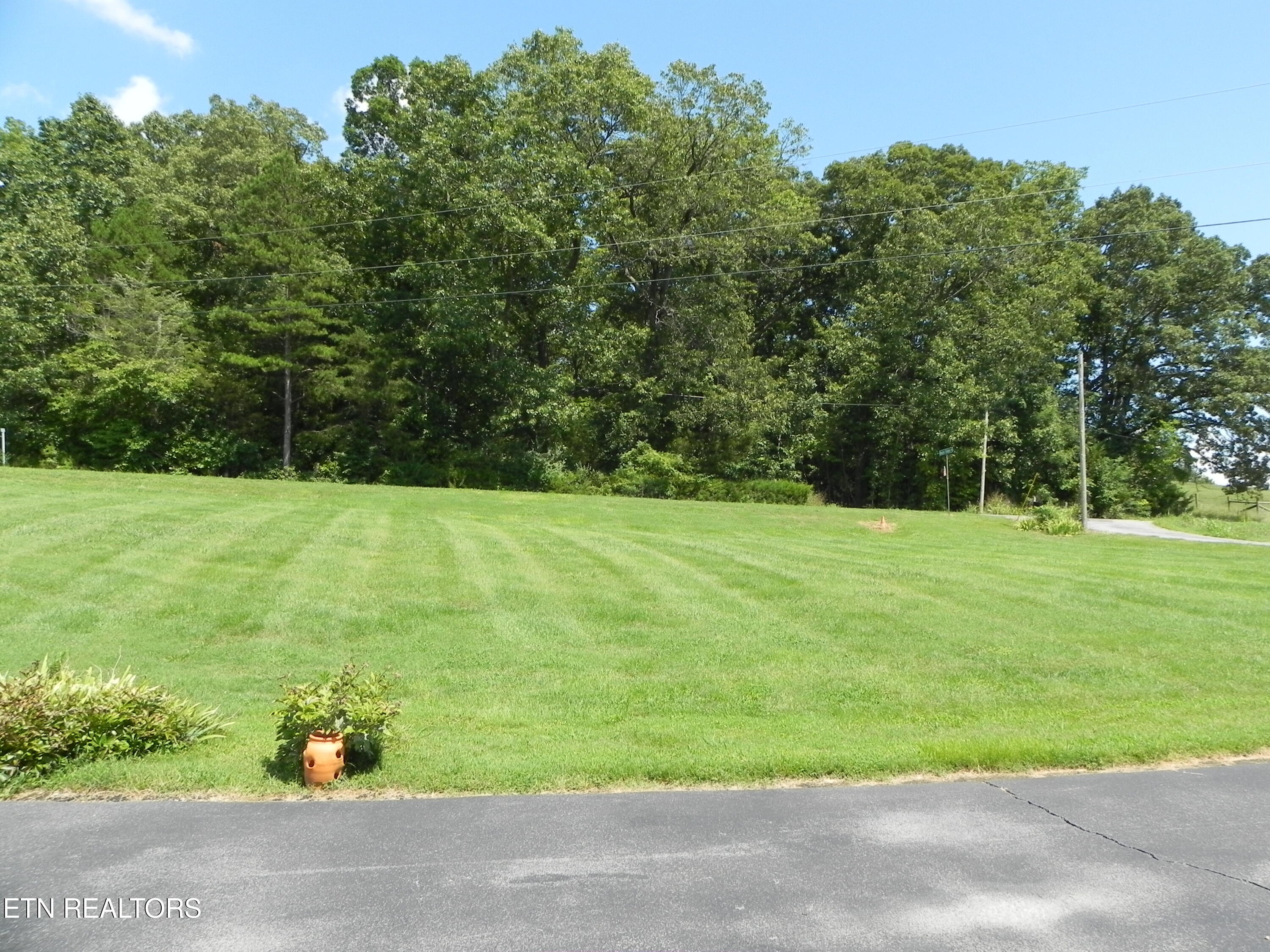 2008 Bessie Slaton Road Dandridge, TN 37725 - Photo 41 of 51 CORNER LOT