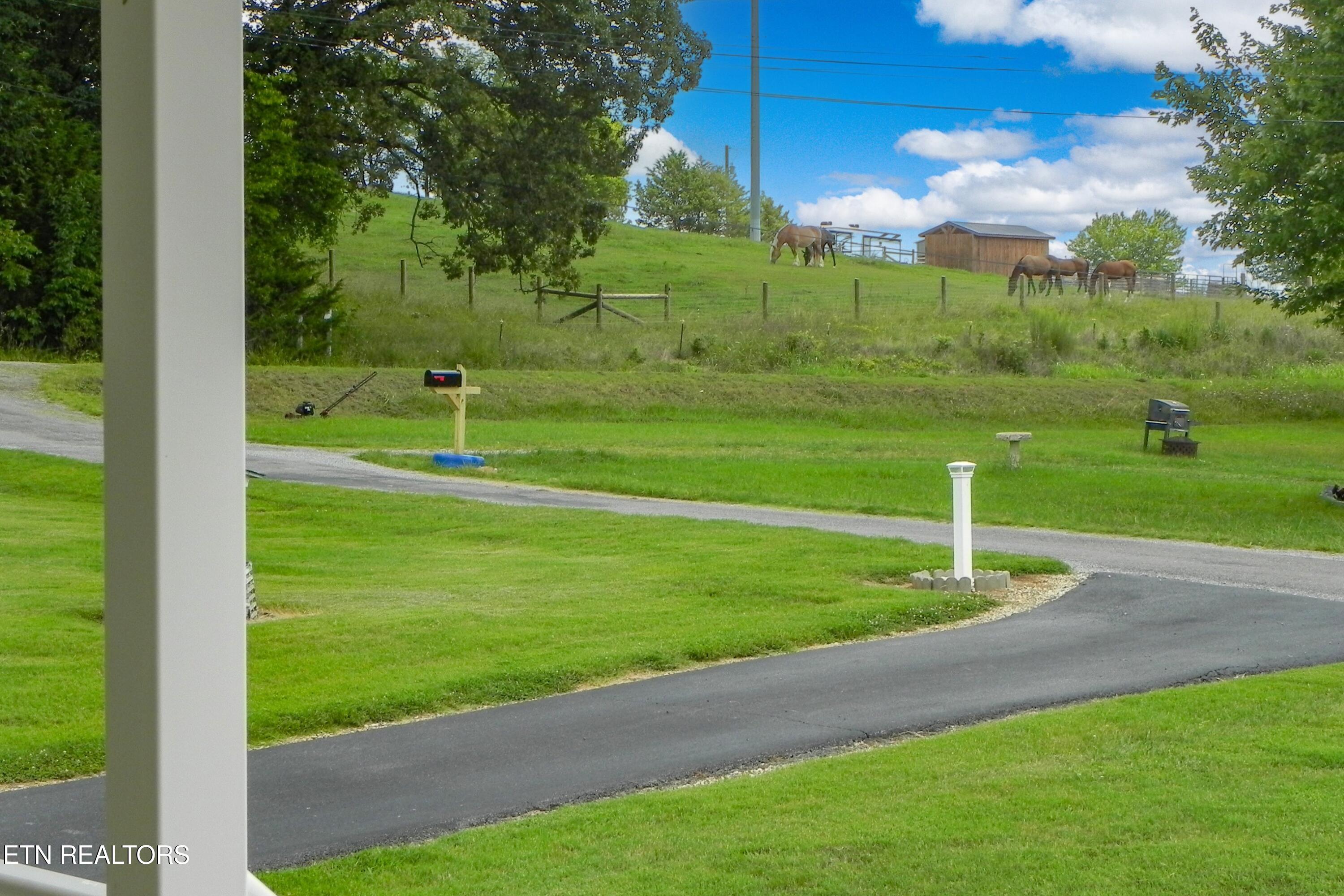 2008 Bessie Slaton Road Dandridge, TN 37725 - Photo 44 of 51 ENJOY LIVING IN THE COUNTRY