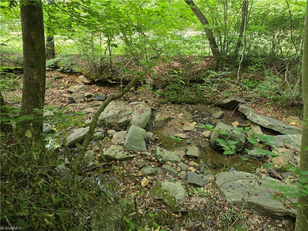 Xx 31.85-ac Xx 31.85-ac Hampton Road Germanton, NC 27019 - Photo 26 of 33