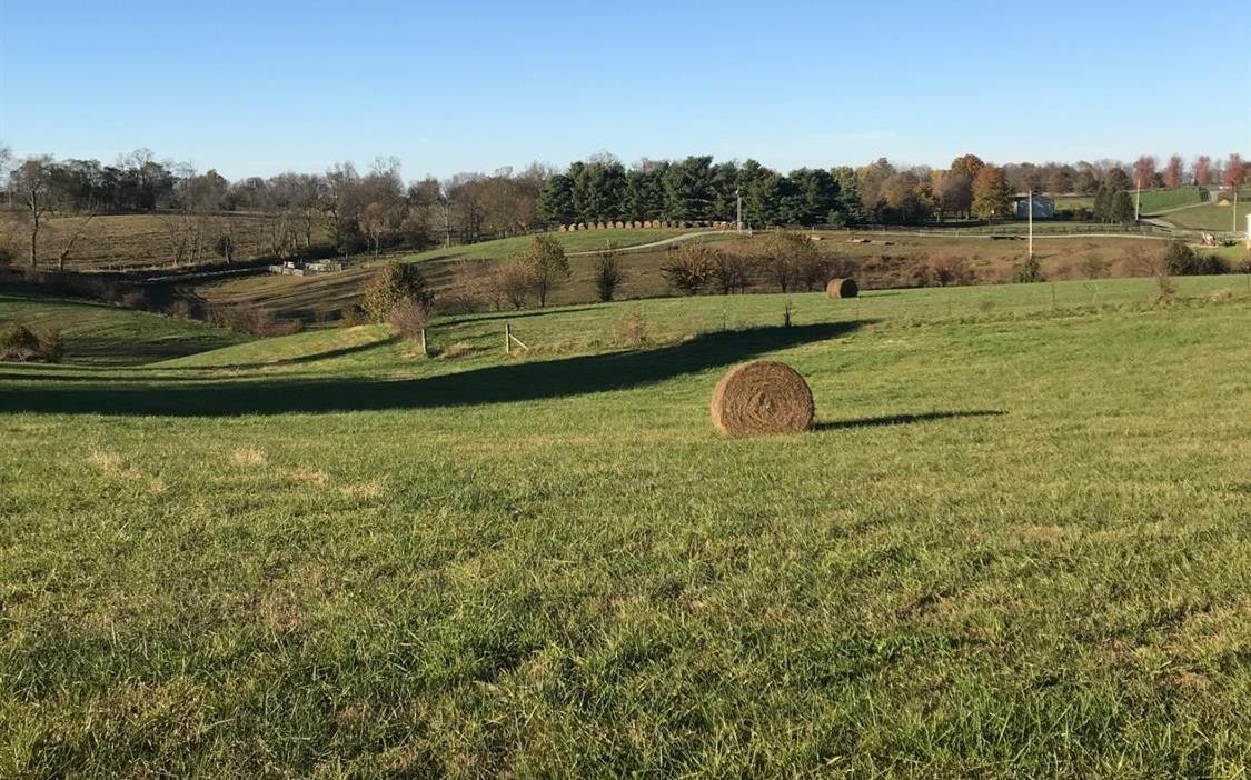 684 Jones Nursery Road Lexington, KY 40509 - Photo 51 of 56 Photo 51
