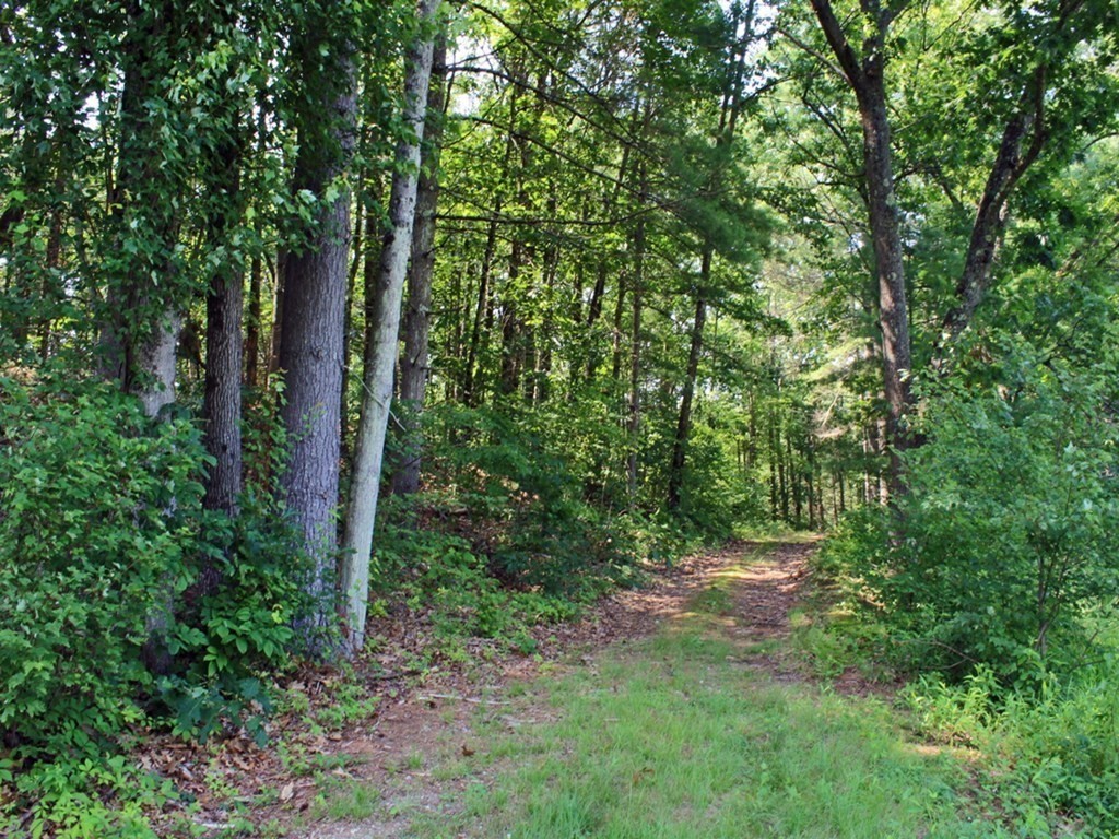 50 South Mountain Road Northfield, MA 01360 - Photo 39 of 42 Gallery Image 39