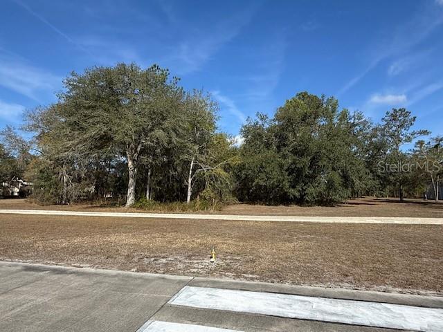 7 Southwest 39th Drive Lake Butler, FL 32054 - Photo 1 of 1 a view of a yard with a house