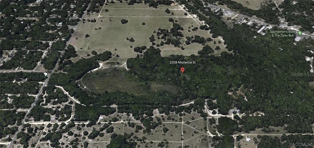 2208 Mistletoe Street Inverness, FL 34453 - Photo 2 of 4