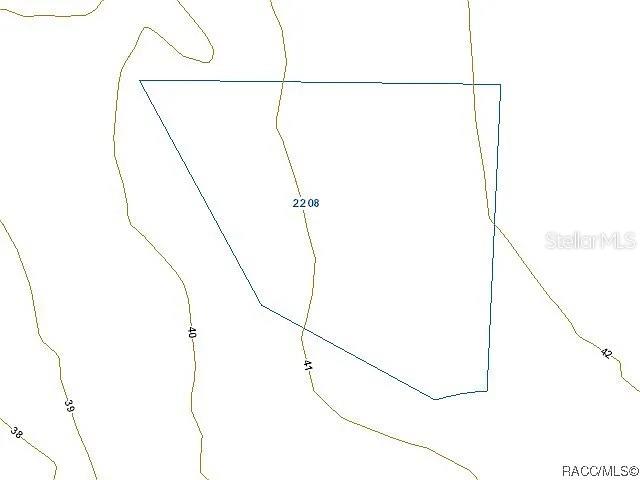 2208 Mistletoe Street Inverness, FL 34453 - Photo 3 of 4