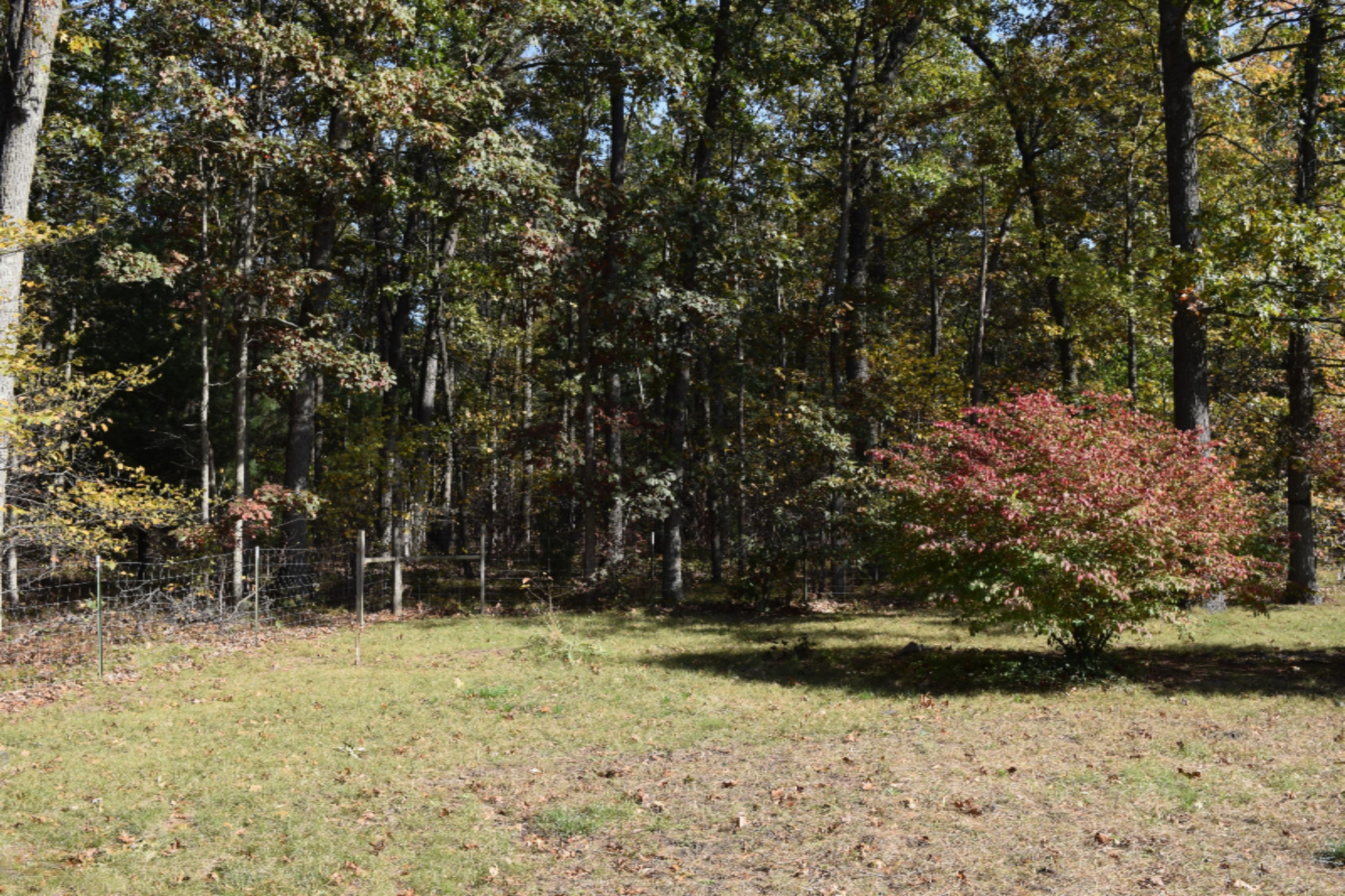 1116 South Maple Island Road Muskegon, MI 49442 - Photo 4 of 23 Trees 1