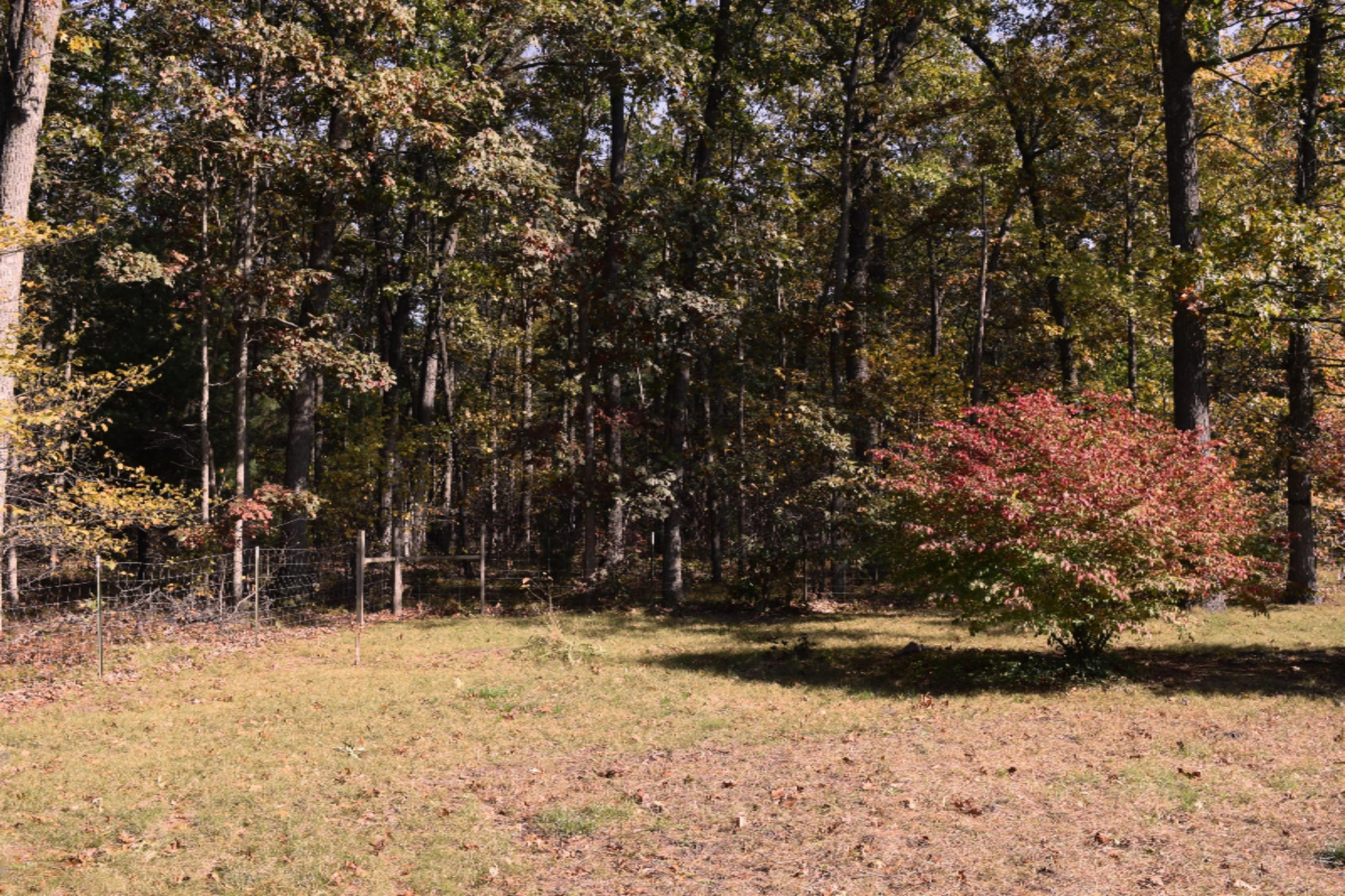 1116 South Maple Island Road Muskegon, MI 49442 - Photo 5 of 23 Trees 2