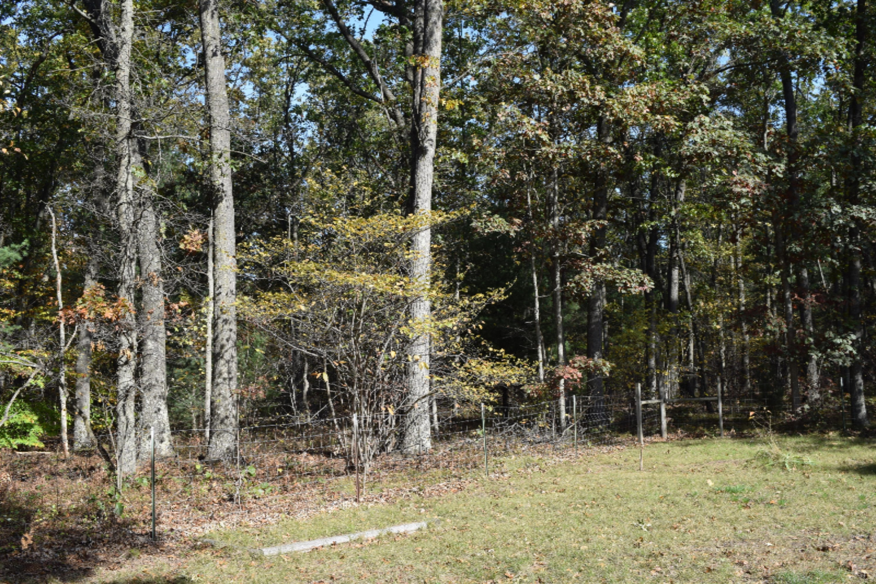 1116 South Maple Island Road Muskegon, MI 49442 - Photo 6 of 23 Trees 3