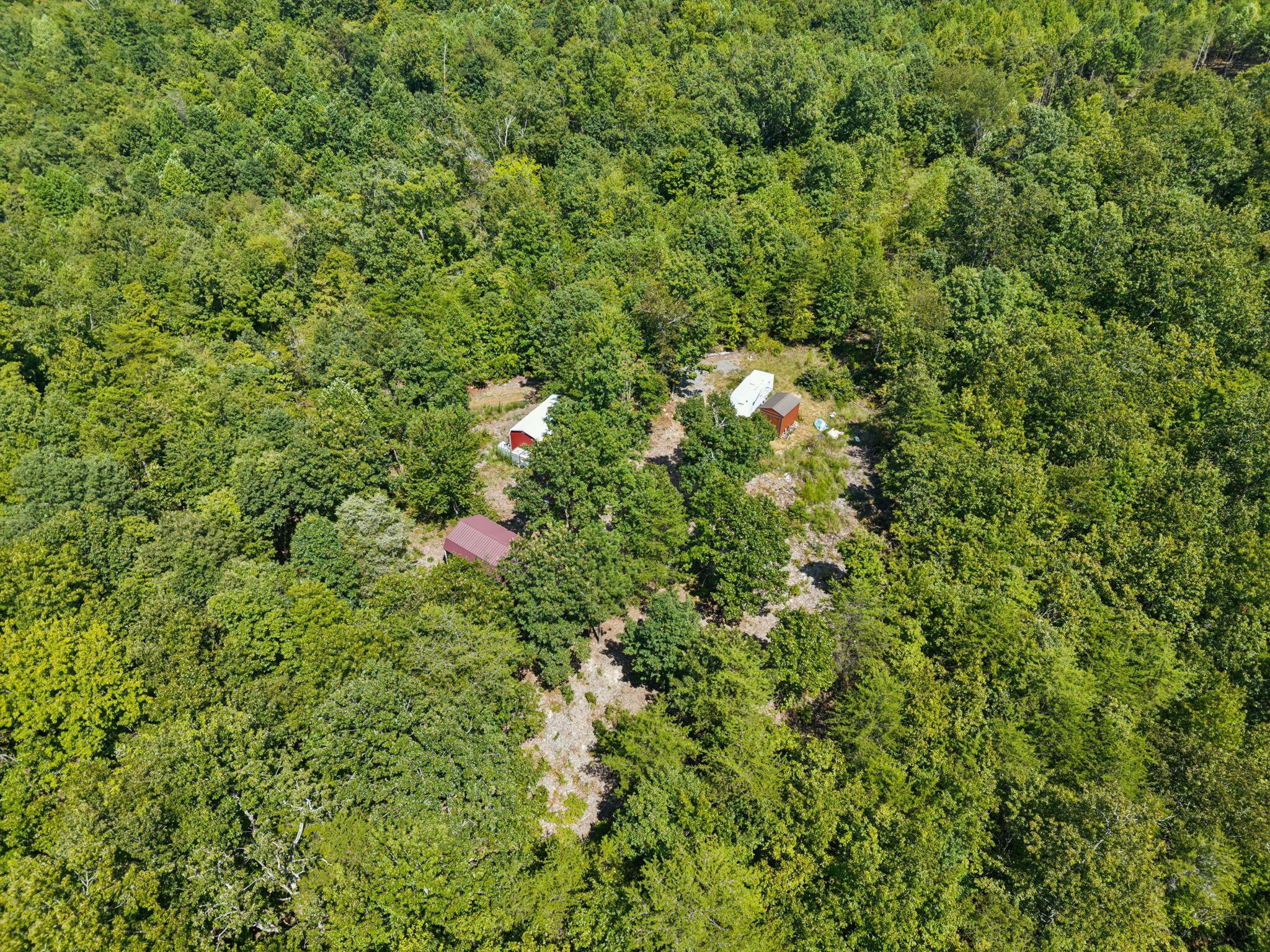 0 Ross Walker Road Decatur, TN 37322 - Photo 19 of 26 7-web-or-mls-196 Ross Walker Rd - 006