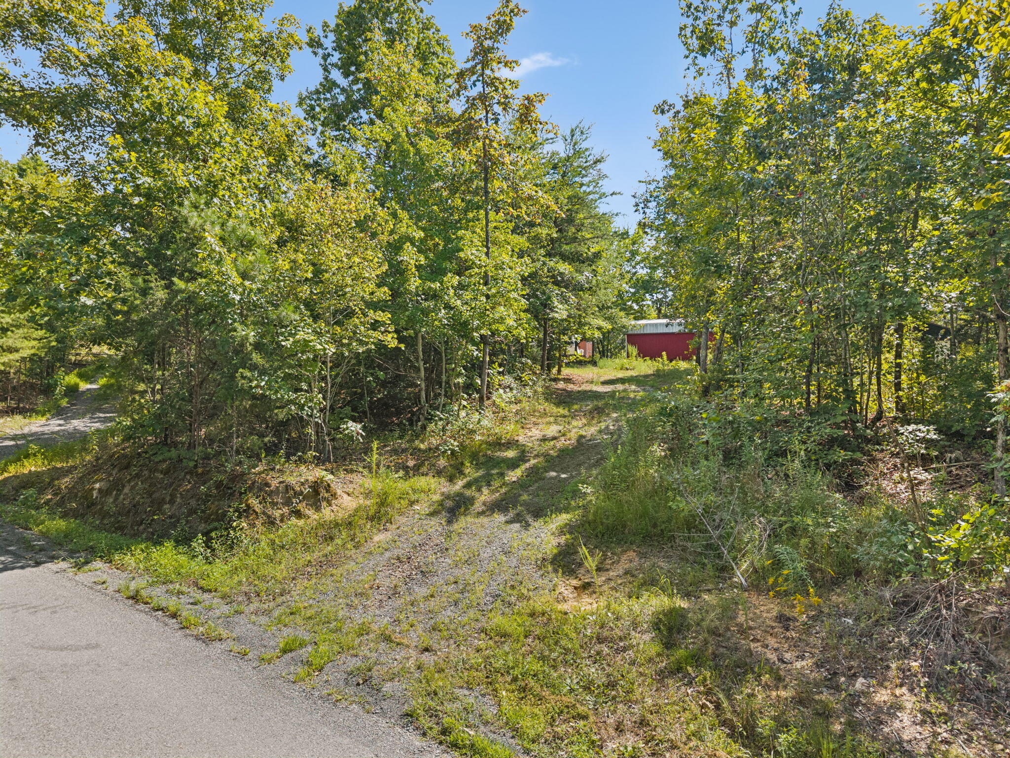 0 Ross Walker Road Decatur, TN 37322 - Photo 2 of 26 6-web-or-mls-196 Ross Walker Rd - 005