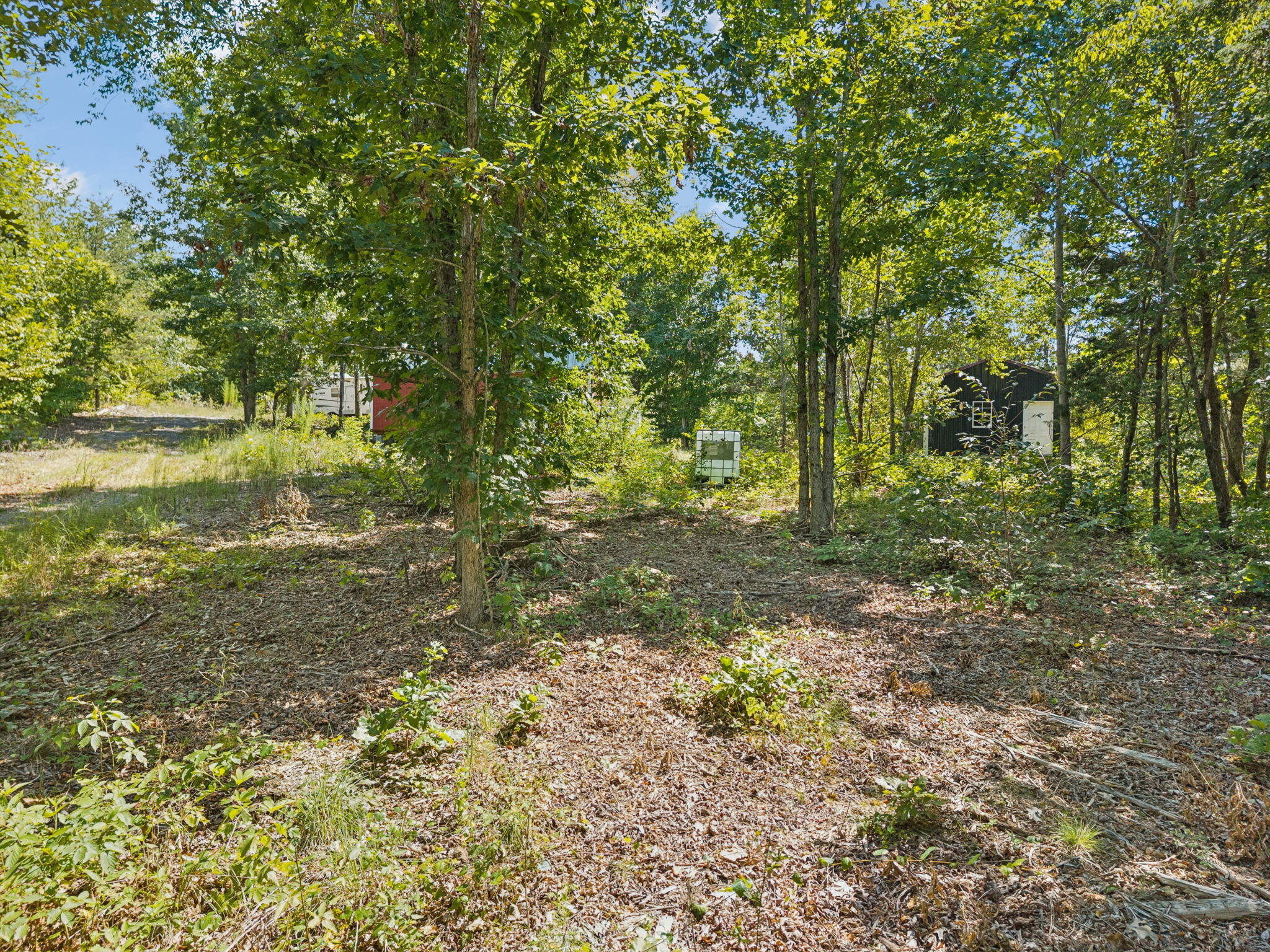 0 Ross Walker Road Decatur, TN 37322 - Photo 4 of 26 19-web-or-mls-196 Ross Walker Rd - 018