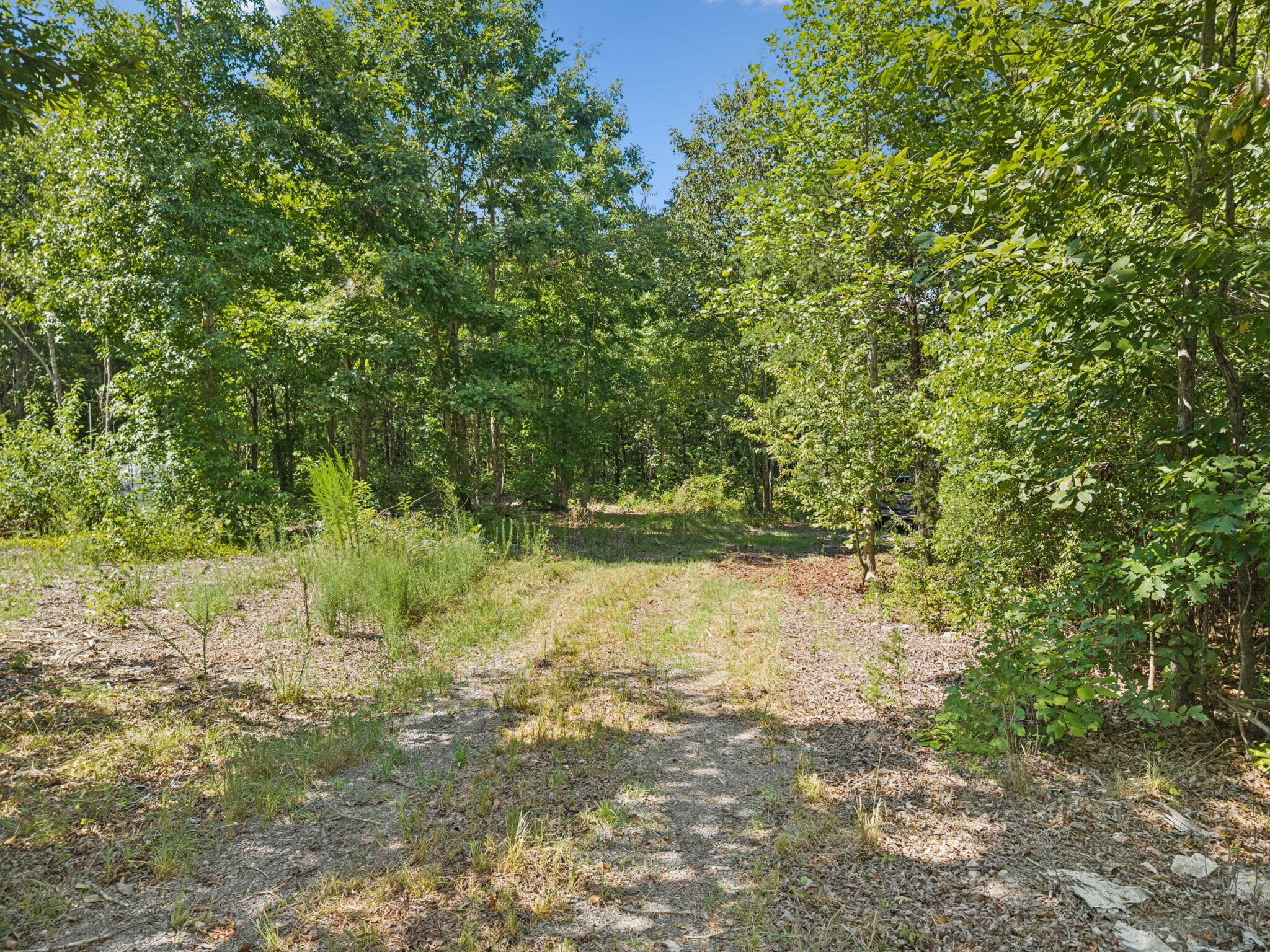 0 Ross Walker Road Decatur, TN 37322 - Photo 5 of 26 21-web-or-mls-196 Ross Walker Rd - 020