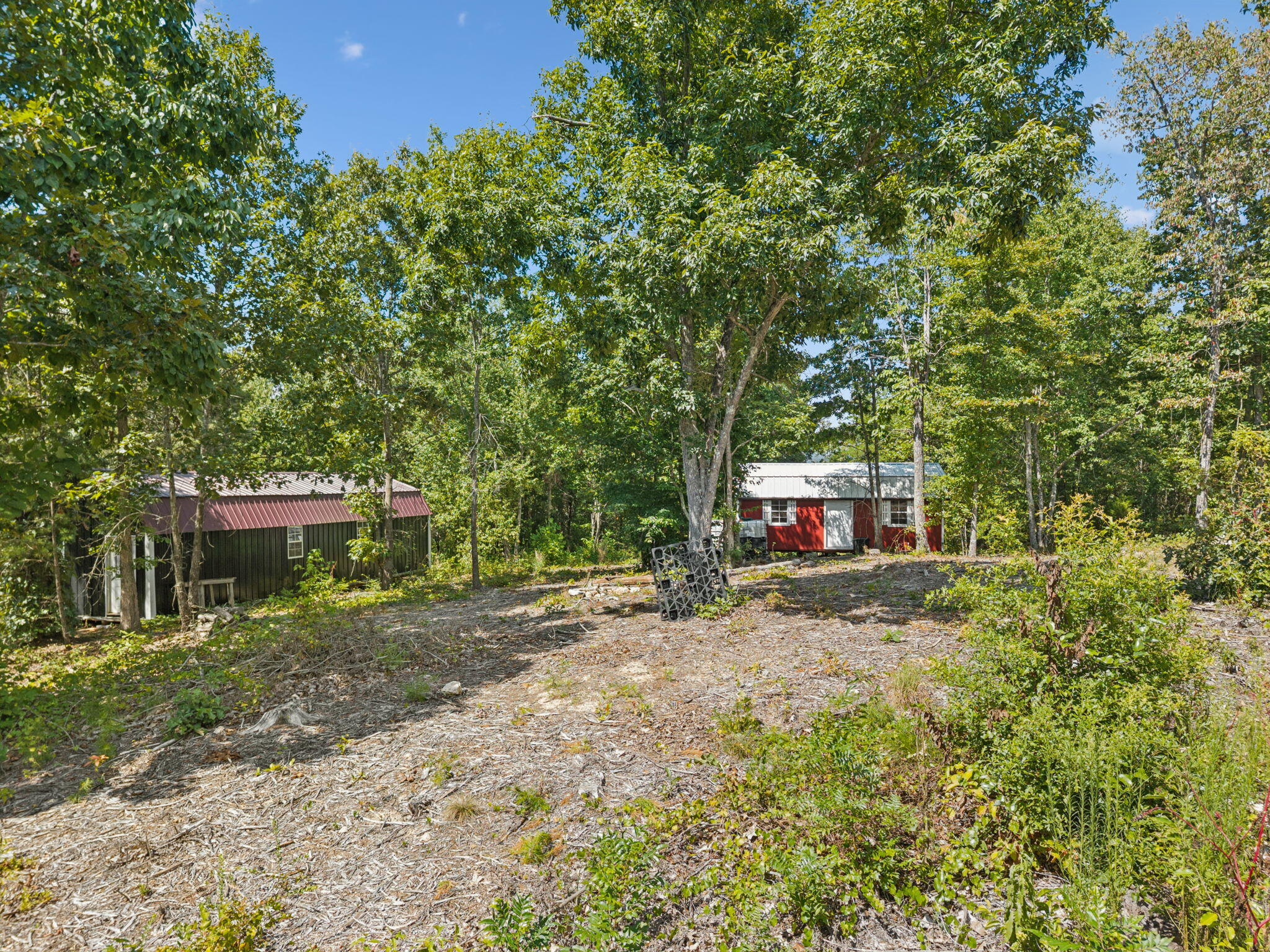 0 Ross Walker Road Decatur, TN 37322 - Photo 7 of 26 13-web-or-mls-196 Ross Walker Rd - 012