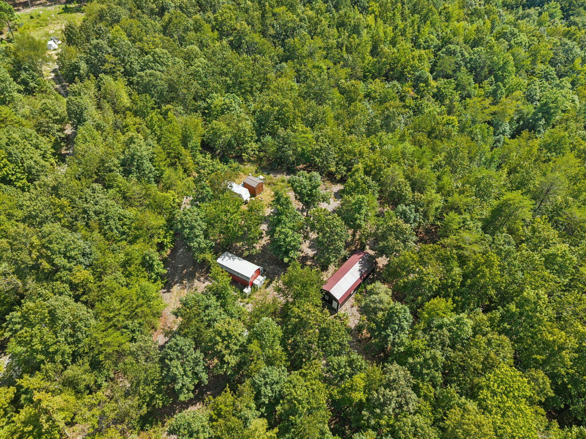 0 Ross Walker Road Decatur, TN 37322 - Photo 9 of 26 8-web-or-mls-196 Ross Walker Rd - 007