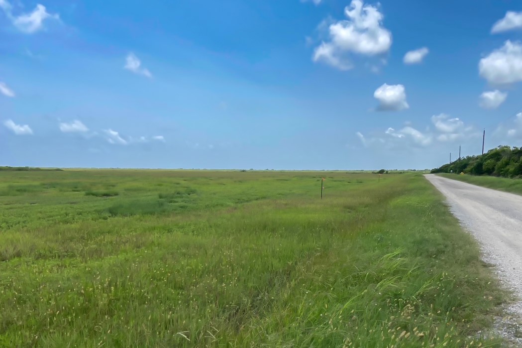 Lot 2 Chambliss Road Sargent, TX 77414 - Photo 7 of 7