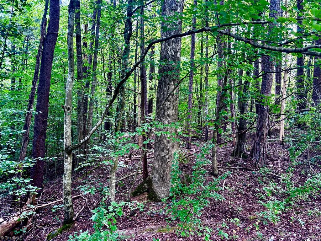 2891 Millwheel Road Pfafftown, NC 27040 - Photo 2 of 5