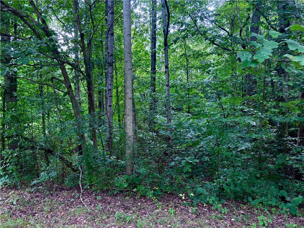 2891 Millwheel Road Pfafftown, NC 27040 - Photo 3 of 5