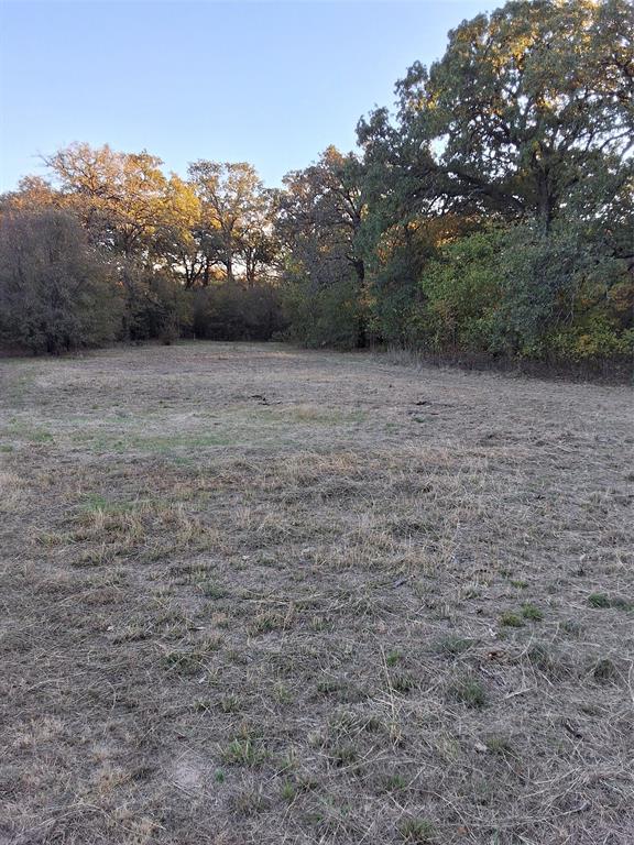 5765 Tokio Road West, TX 76691 - Photo 6 of 10 View of yard