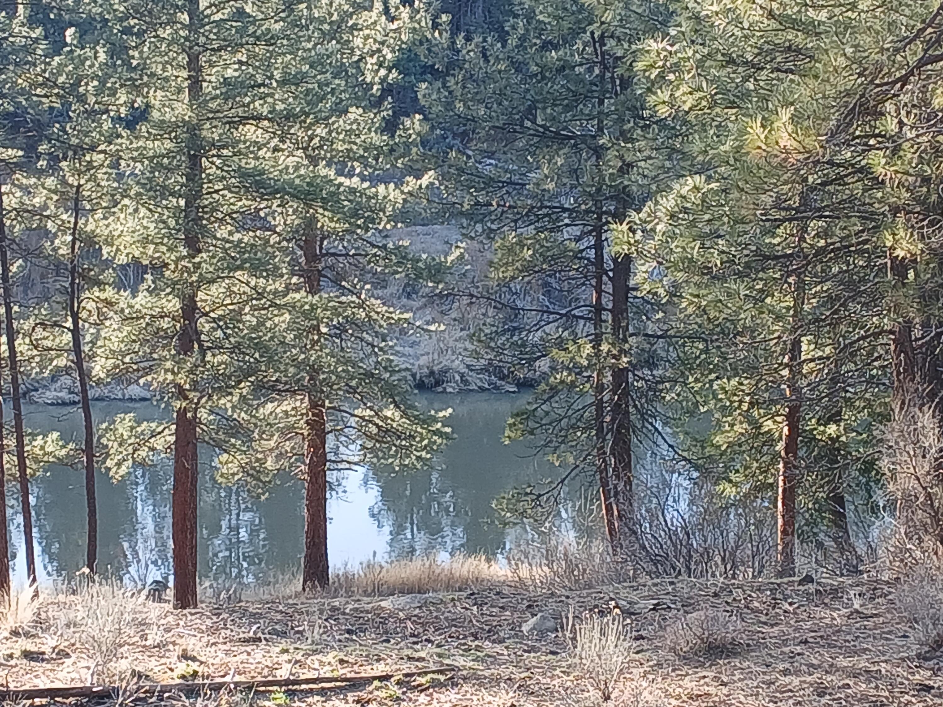 3 Elde Street Chiloquin, OR 97624 - Photo 6 of 6 Sprague River