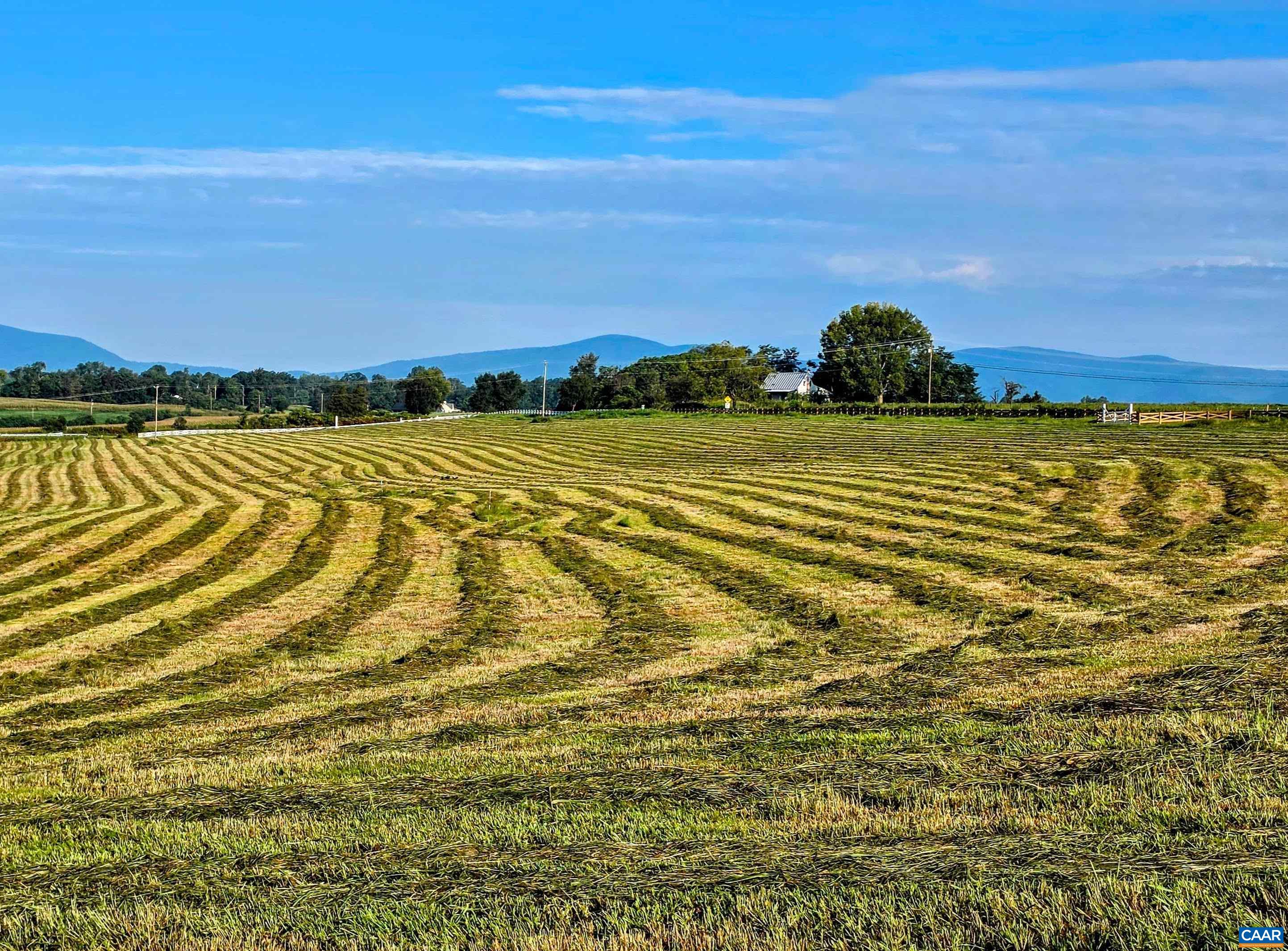 Lot 20 Fredericksburg Road Ruckersville, VA 22968 - Photo 1 of 4 Gallery Image 1