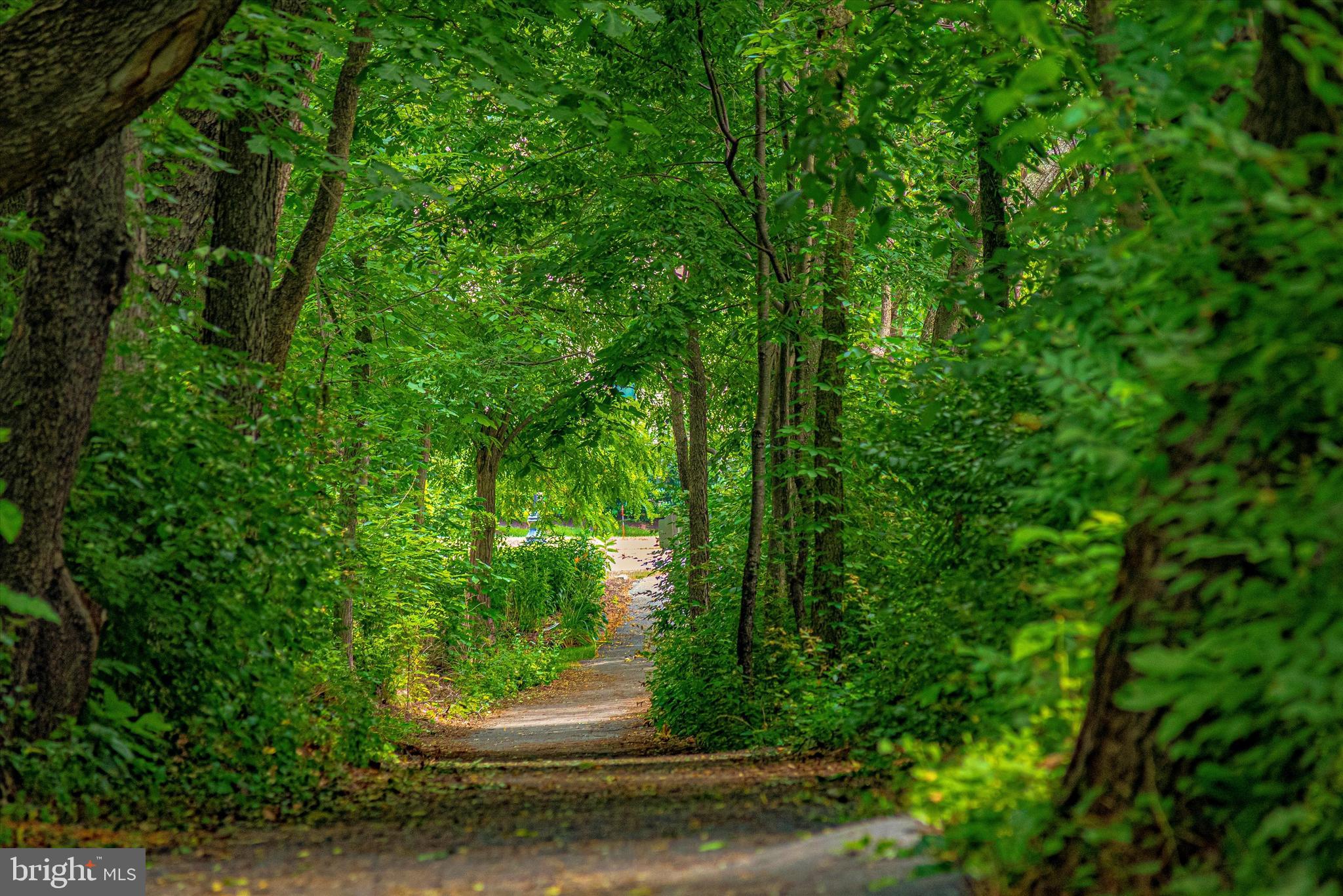 2645 Brook Valley Road Frederick, MD 21701 - Photo 54 of 62 Shaded walking paths throughout community