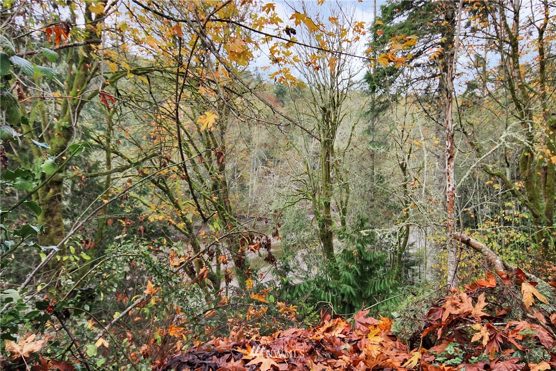 3060 Banner Road Southeast Port Orchard, WA 98366 - Photo 17 of 17 Gallery Image 17