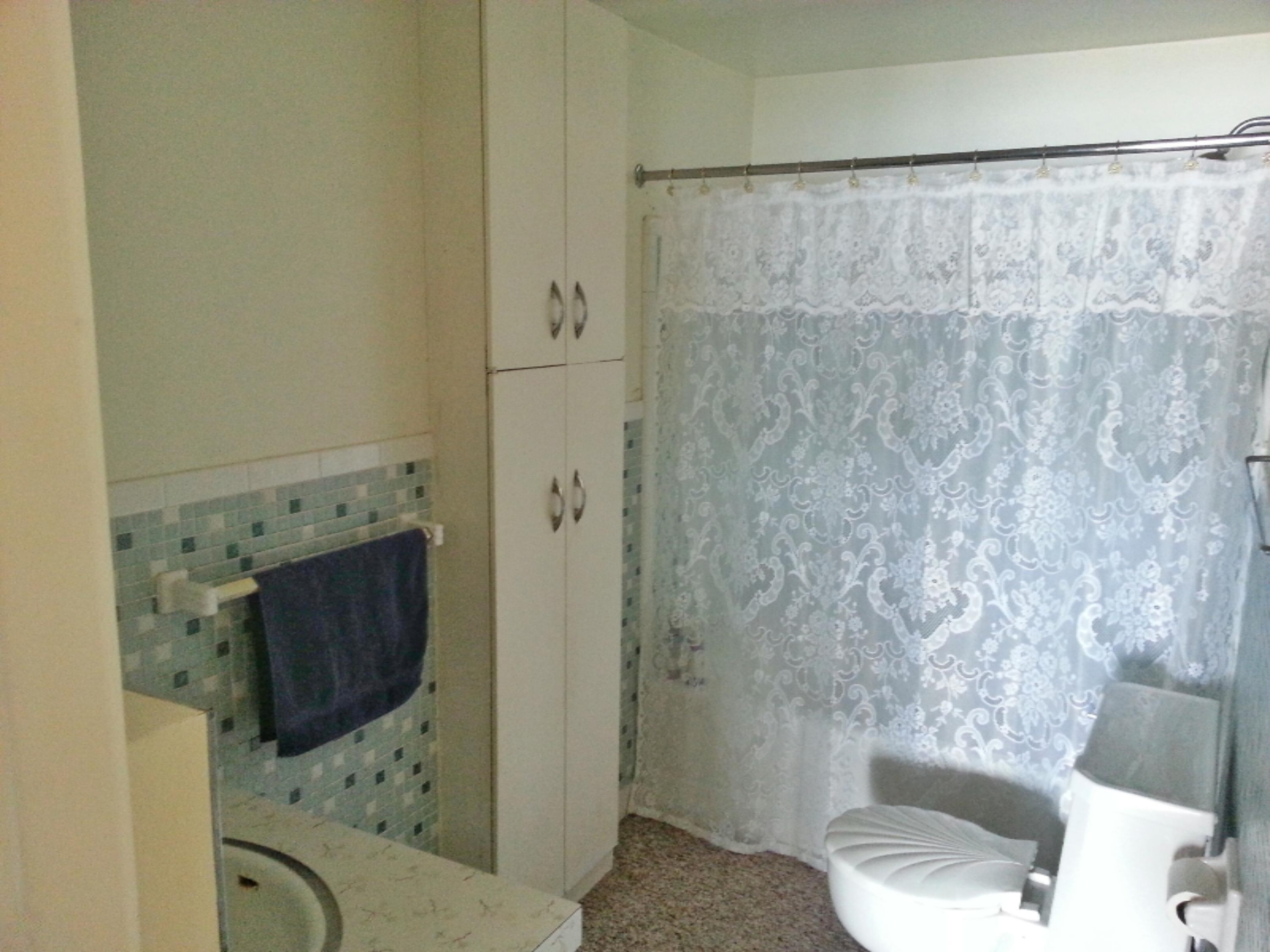 1195 South Ransom Road White Cloud, MI 49349 - Photo 13 of 24 Main bath
