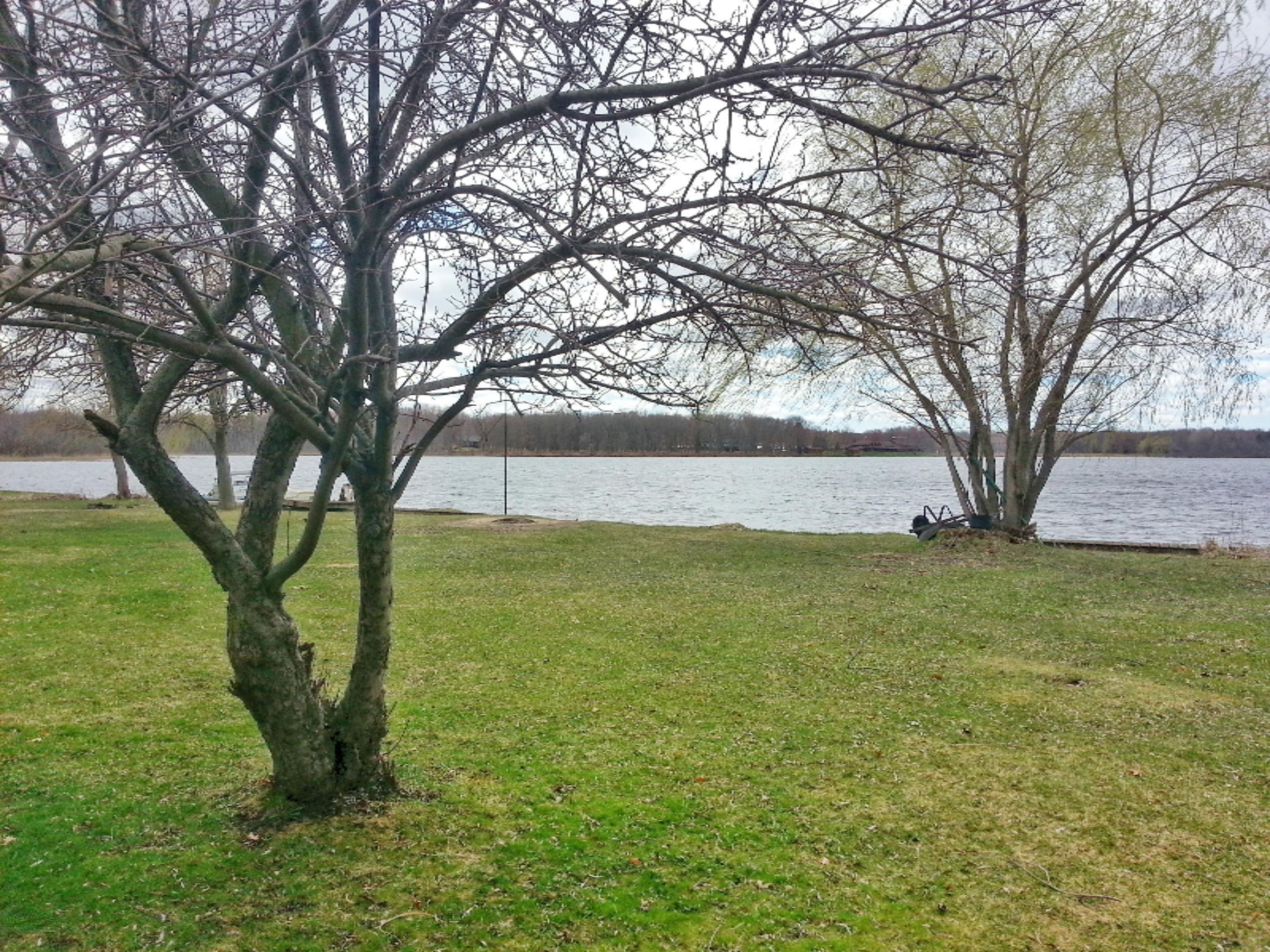 1195 South Ransom Road White Cloud, MI 49349 - Photo 5 of 24 Robinson Lake